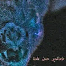 مفيش احساس