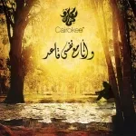 لكن احساسى مش كفاية