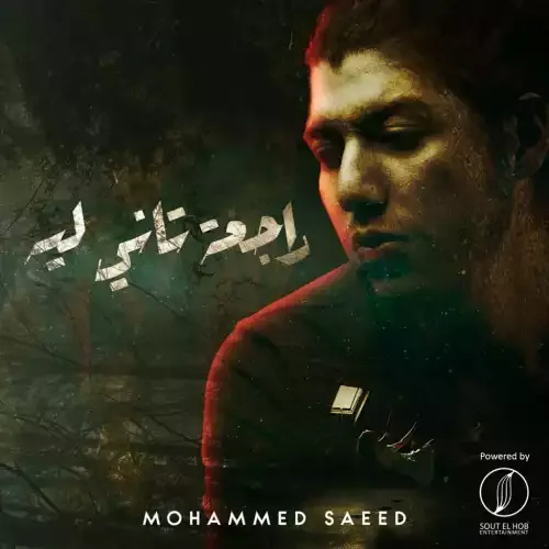 راحت فين