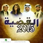 إبراهيم الحكمي وشيماء هلالي - القضية