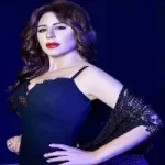 الواد الشيك