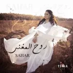 قلبي اتعلم